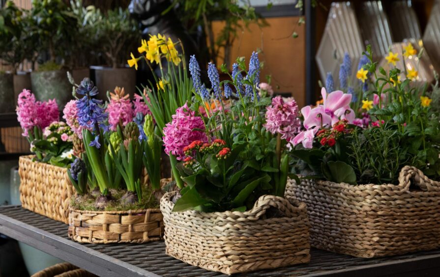 A lot of springtime flowers. Landscape gardening so flowers grow should be one of your top spring decoration ideas.