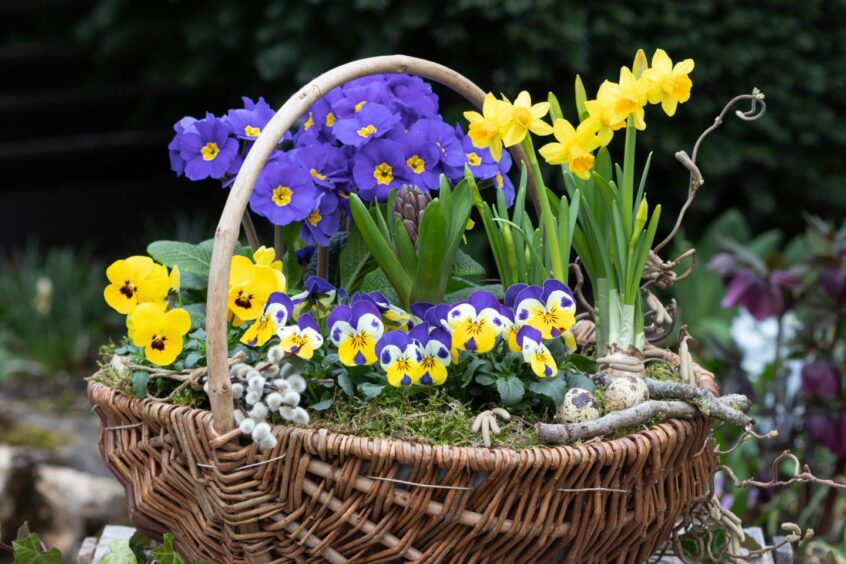 A flower basket.