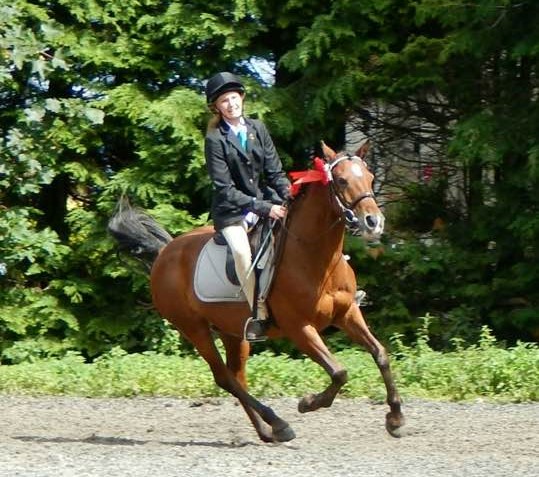 A photo of a horse rider on a horse at Balcurvie Riding School