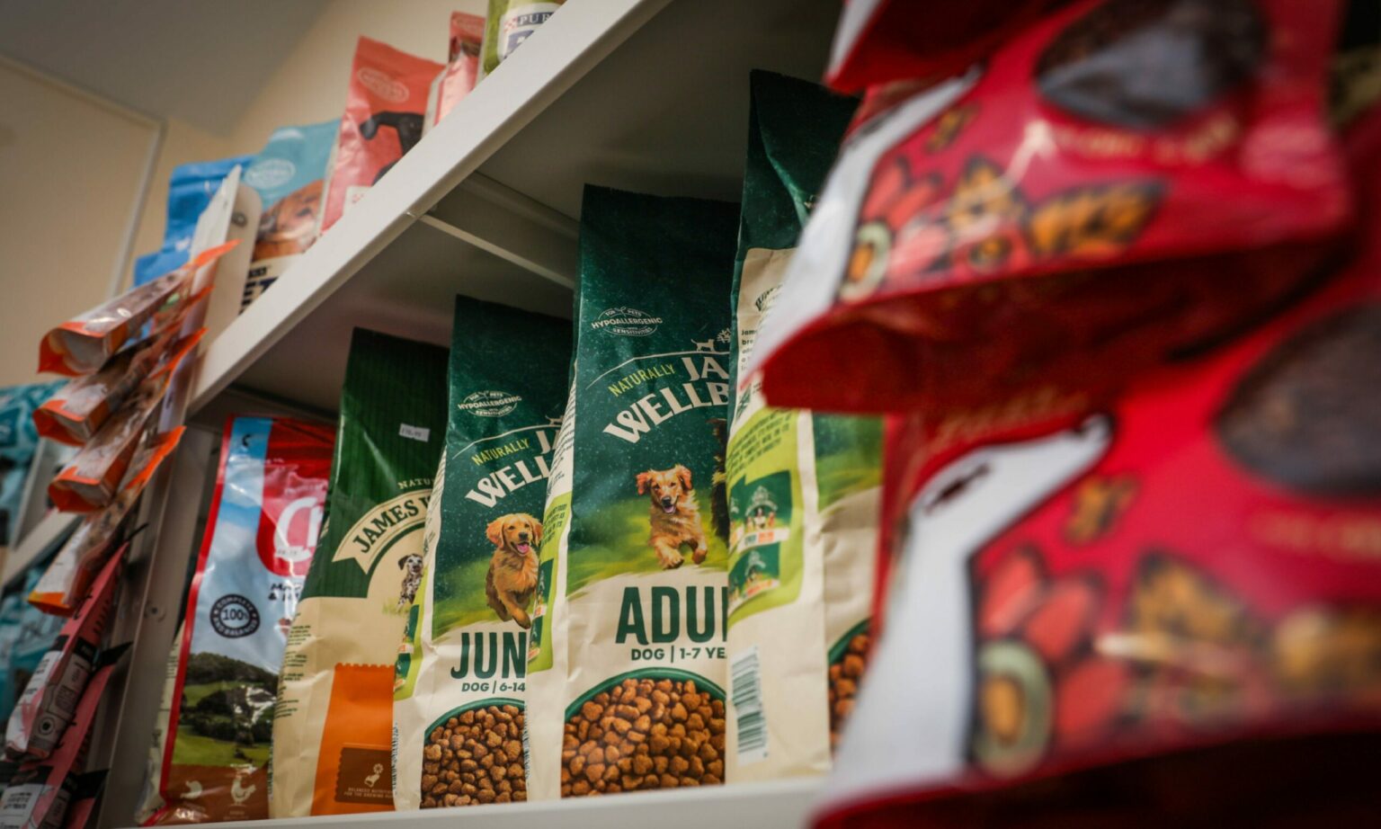 Fife man fulfils lifelong dream by opening pet shop in Kirkcaldy