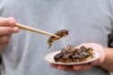 Crickets are eaten in some countries because they are a high source of protein. Image: Shutterstock