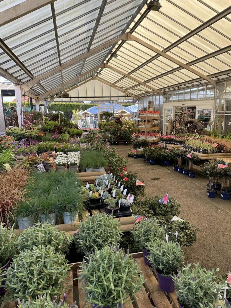 8 mustvisit garden centres in Tayside and Fife
