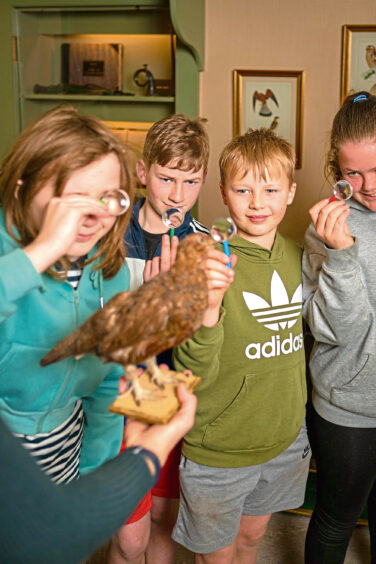 Pupils examine a taxidermied bird at House of Dun.