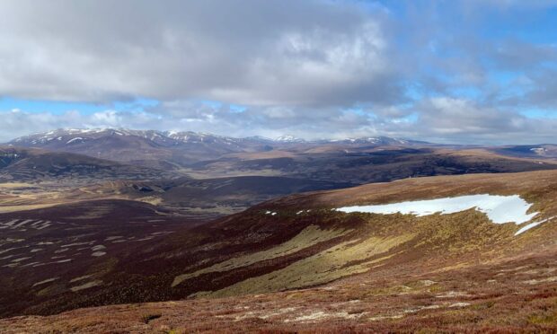 Looking to the distant Cairngorms.