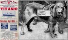 Pedro the bloodhound was among those who dug deep for the cause in 1912. Image: Shutterstock.