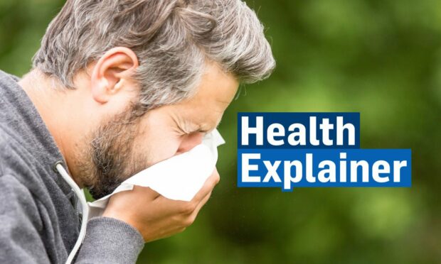 Do you know these myths about allergies? Image: DC Thomson/Shutterstock