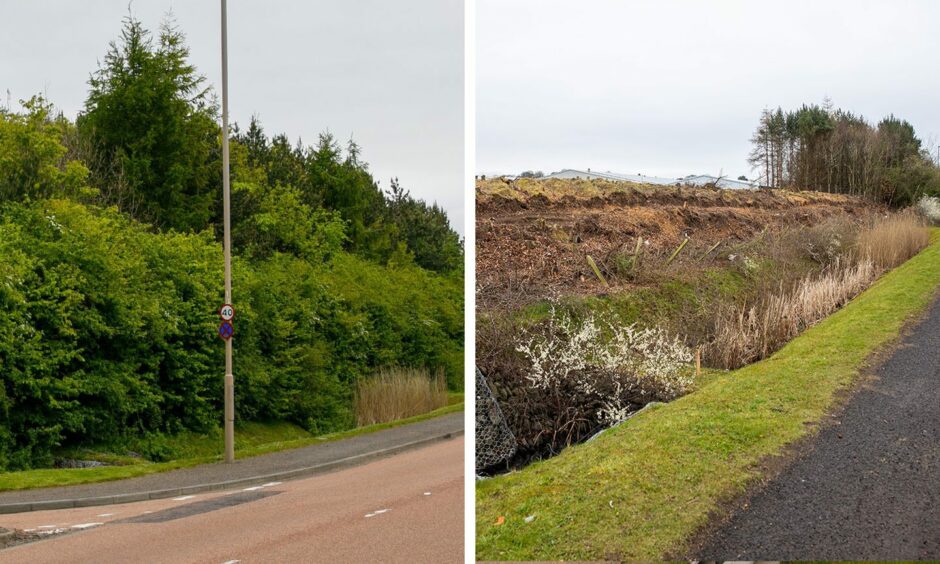 The Broughty Ferry hedge and trees by the A92 in 2021 versus 2023