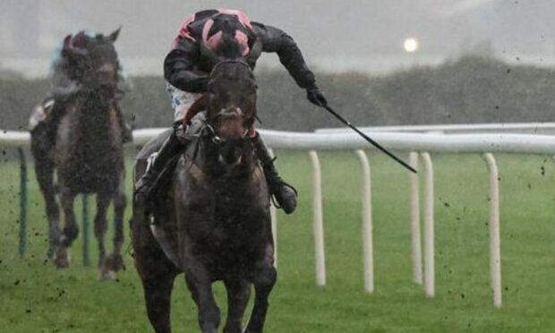 Hill Sixteen died after a fall a the first fence in the Grand National. Image: Jockey Club Grossick Photography