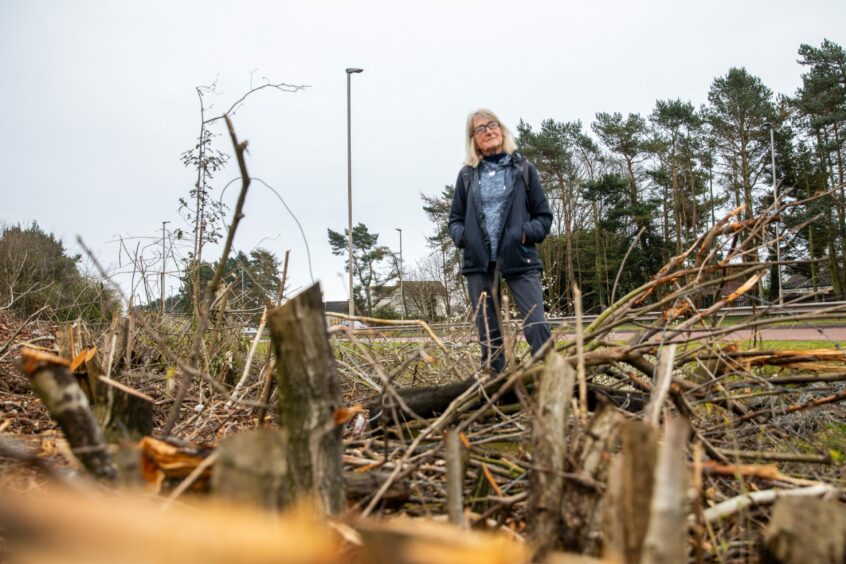 Broughty Ferry conservationist Jeannie Cooper stands among the destroyed trees and hedges beside the A92