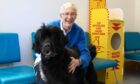 Paul O’Grady at Battersea Cats and Dogs Home with Peggy a Newfoundland.