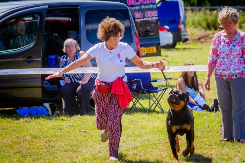 Dog tainer Margaret with her Rottweiler Roxy at a dog show in Errol Airfield in 2018.