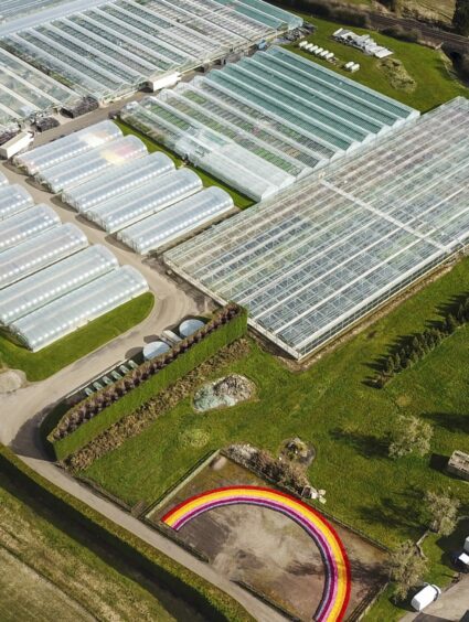 An aerial shot of a giant rainbow made from 27,000 plants at the The Plant Market, one of the Fife garden centres our readers recommend. Image: SWNS.