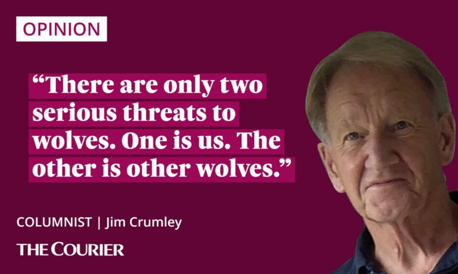 The writer Jim Crumley next to a quote: "There are only two serious threats to wolves. One is us. The other is other wolves."