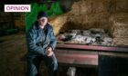 Farmer Stuart MacDougall on a trailer with dead lambs