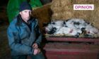 Farmer Stuart McDougall next to a trailer containing dead lambs