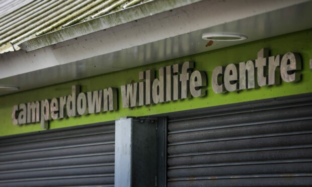 The shutters are down at Camperdown Wildlife Centre.