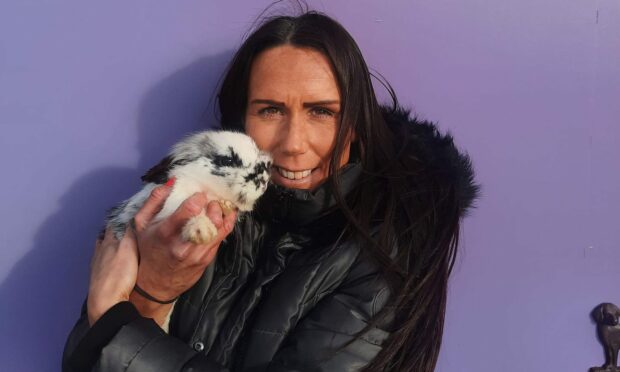 Mel Thomson rescued 76 rabbits last year. Image: Mel Thomson/Facebook