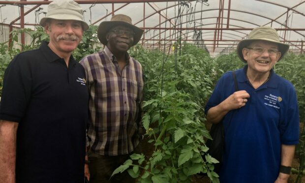 Dundee Rotarians Dai John (left) and Alan Calder McNicoll (right) with tomato crop in polytunnel, Zimbabwe. Image: Dundee Rotary Club