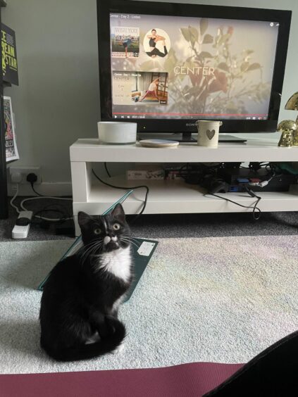 Rebecca's black and white kitten in front of a TV showing yoga poses