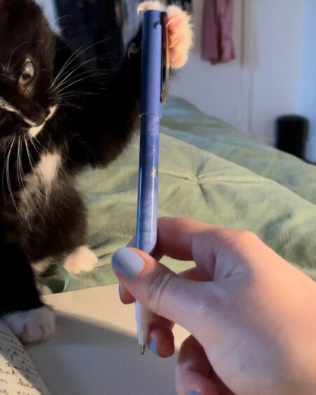 Rebecca's kitten playing with her pen.