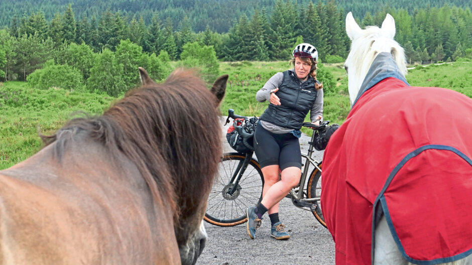 Meeting some equine friends along the way - two horses and a cyclist