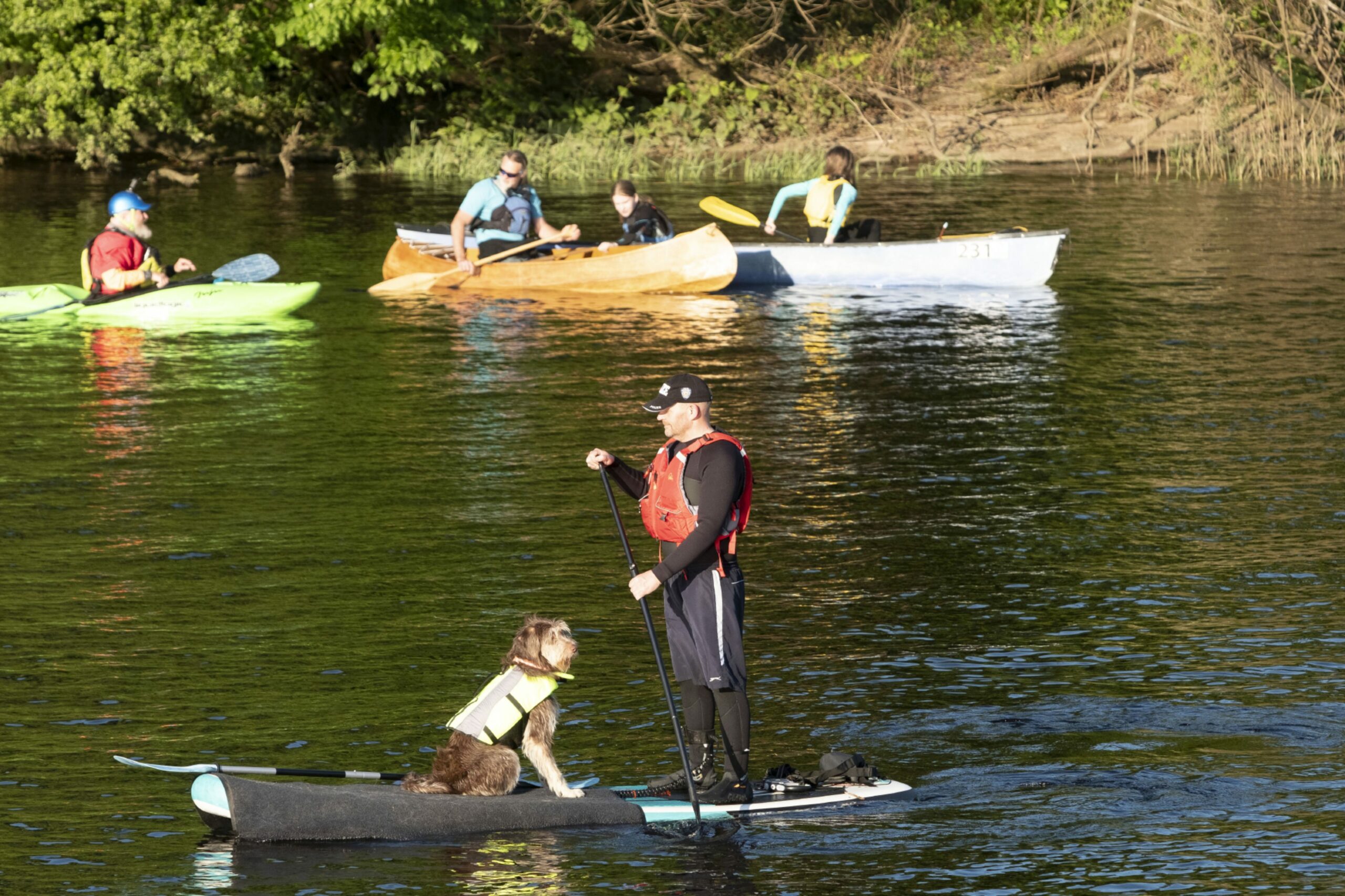 Between the Bridges event on the Tay in Perth. One man and his dog
Pic Phil Hannah