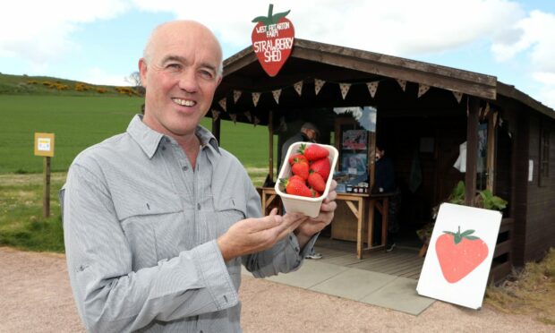 Keith Adamson of the West Friarton Farm Strawberry Shed outside Newport. Image: Gareth Jennings/DC Thomson