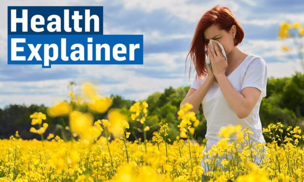 The best ways to relieve hay fever symptoms as the warmer weather arrives. Image: DC Thomson/Shutterstock