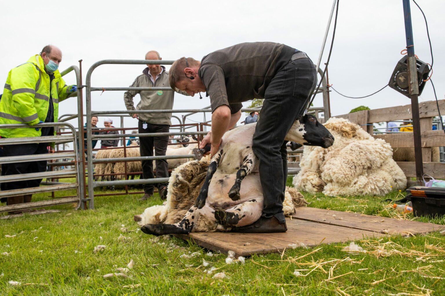 23 pictures as thousands enjoy this year's Fife Show