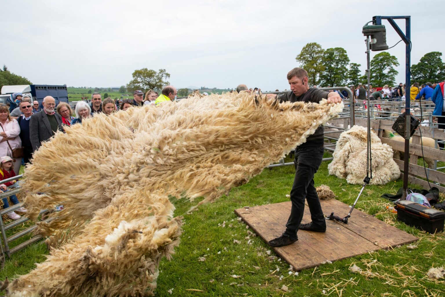 23 pictures as thousands enjoy this year's Fife Show