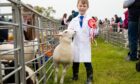 James Watson (6) and his first prize in the Young Handler 10 and under rosette. Image: Kim Cessford/DC Thomson