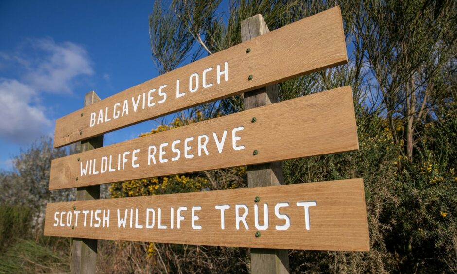 Balgavies Loch reserve near Forfar.