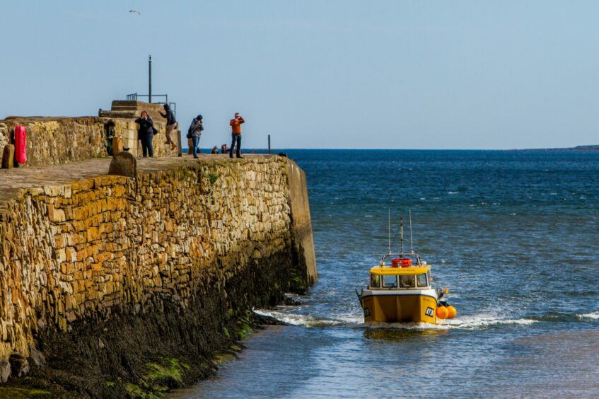 Lobster boat 'Brothers in Arms' returns to St Andrews Harbour in 2017