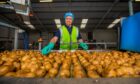 A factory worker wearing a hair net and high vis vest inspecting a conveyor belt full of potatoes.