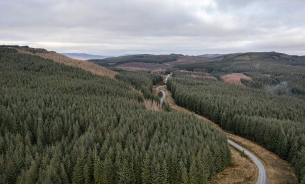 Three Perthshire forests are for sale. Image: Savills