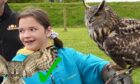 Evee Bennett from the Ohana Adventure holding an owl during her visit to the Scottish Deer Centre.