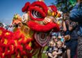 A dragon at Perth Mela Festival 2022. Perth Mela Festival is one of the best Perth activities.