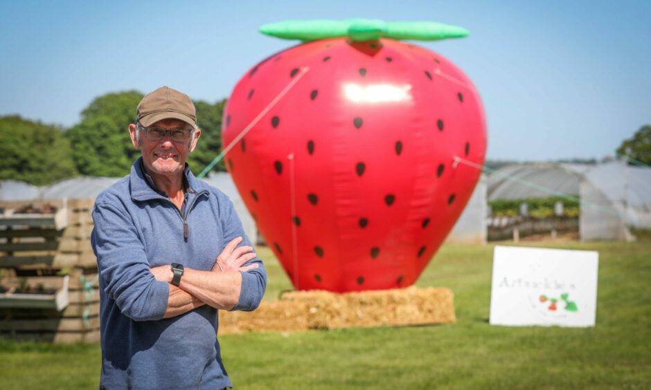 Farmer Peter, wearing a brown cap and blue jumper, in front of the giant inflatable strawberry at Arbuckle's Farm Shop.