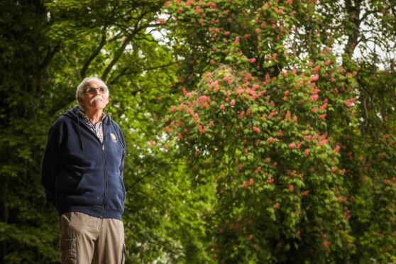 Arbroath plantsman Joe Gibb admires the Hospitalfield tree. Image: Mhairi Edwards/DC Thomson
