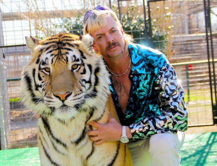 Animal park manager Joe Exotic, from Netflix special Tiger King, with a live toger. Image: Shutterstock. 