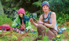 Kiri Stone runs woodswoman workshops in Fife. Picture: Kenny Smith.