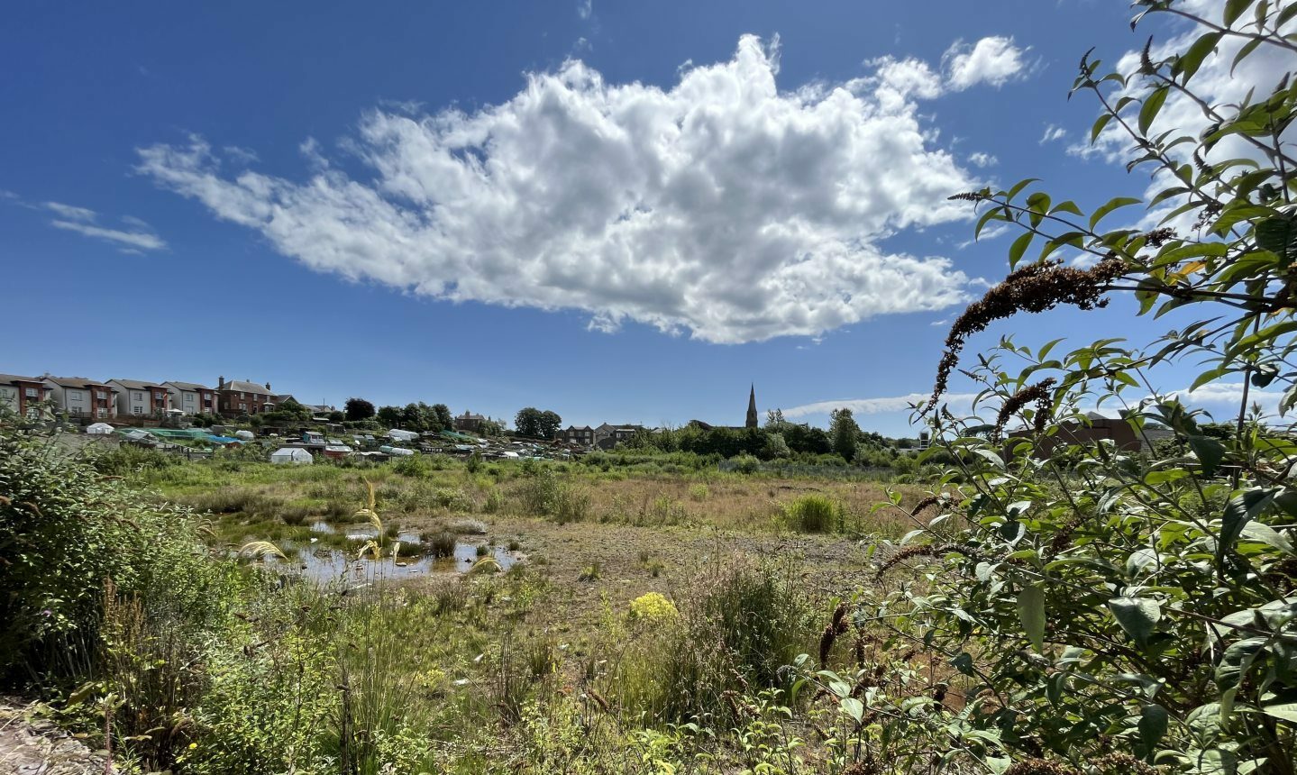 Homes plan for former box factory site near Arbroath Abbey - Vimarsana News
