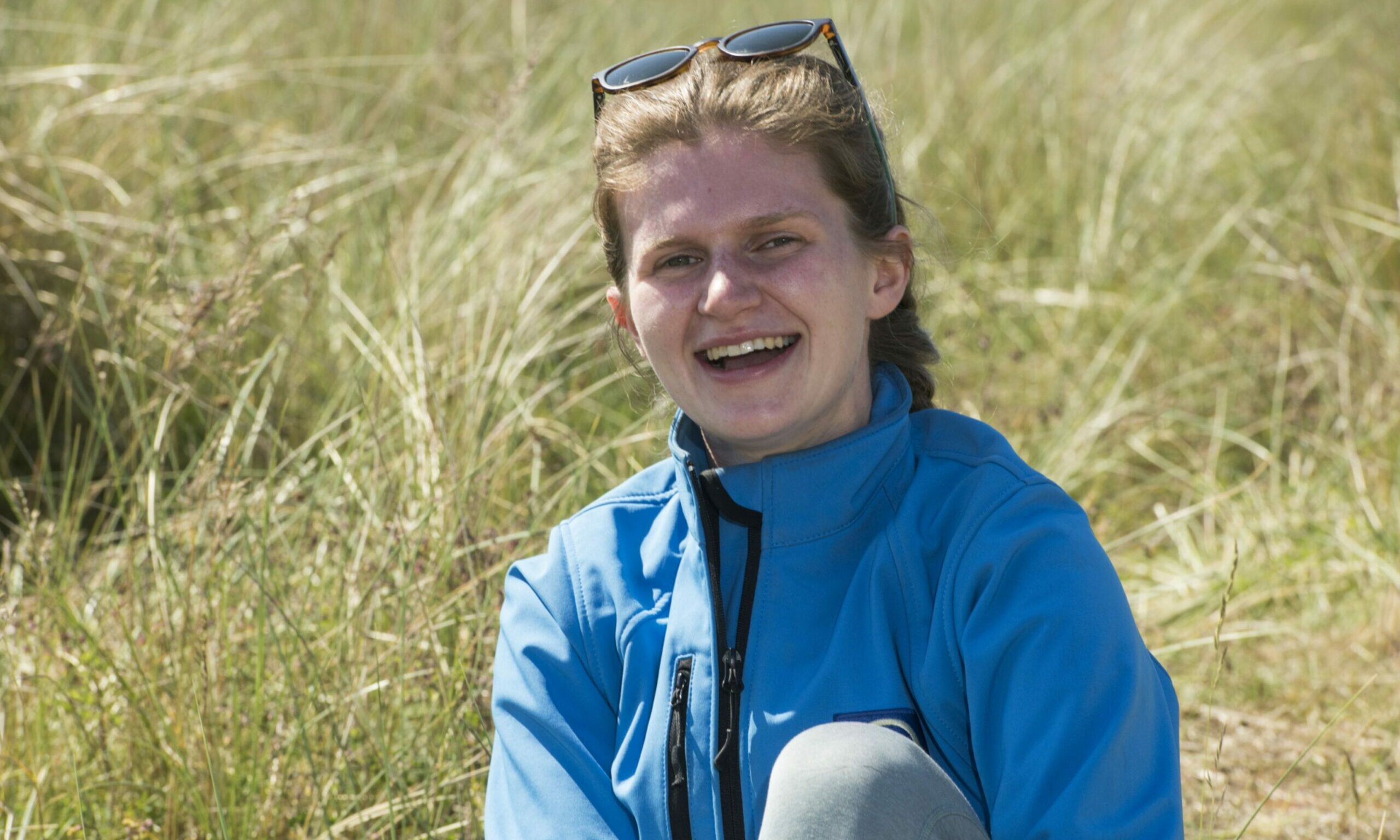 How can you help the small blue butterfly in Carnoustie? - Vimarsana News