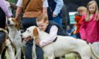 Youngster gives friendly hound a big hug. Image: Kenny Smith/DC Thomson