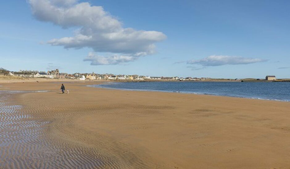 A beach