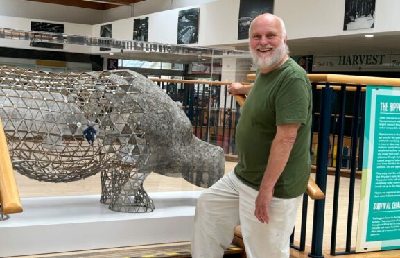 Artist Stanley Bonnar unveils his latest hippo sculpture.
