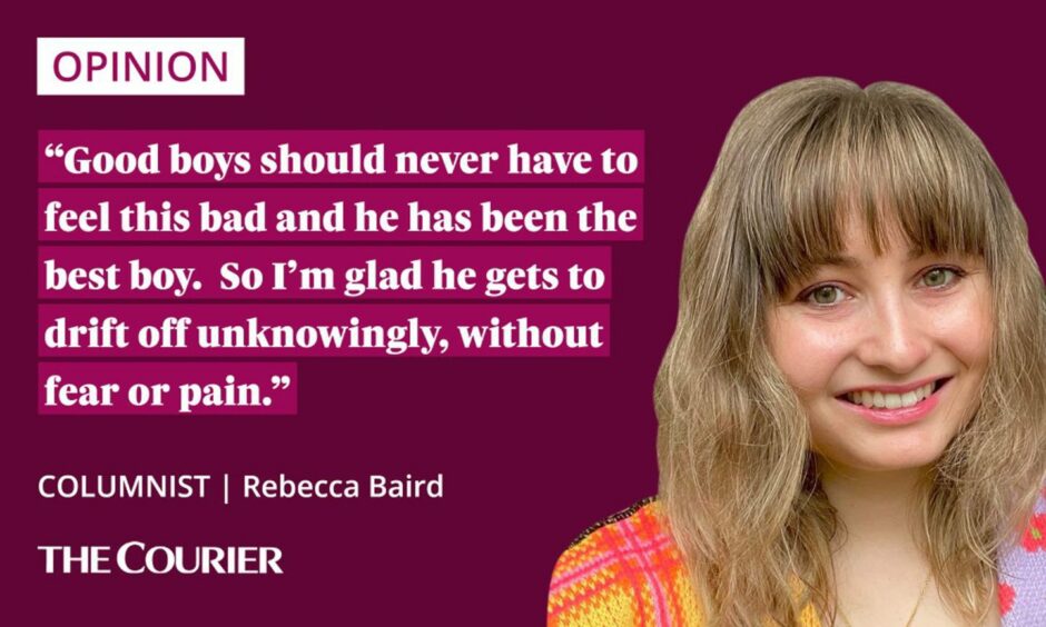 The writer Rebecca Baird next to a quote: "Good boys should never have to feel this bad and he has been the best boy.  So I'm glad he gets to drift off unknowingly, without fear or pain."