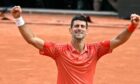 Novak Djokovic celebrates his latest Grand Slam success.