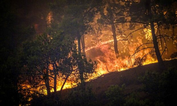 Europe has been devastated by horrendous summer wildfires. Image: Shutterstock.