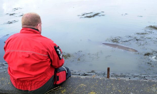 Rescuers remain on the scene at Torry Bay near Low Valleyfield.